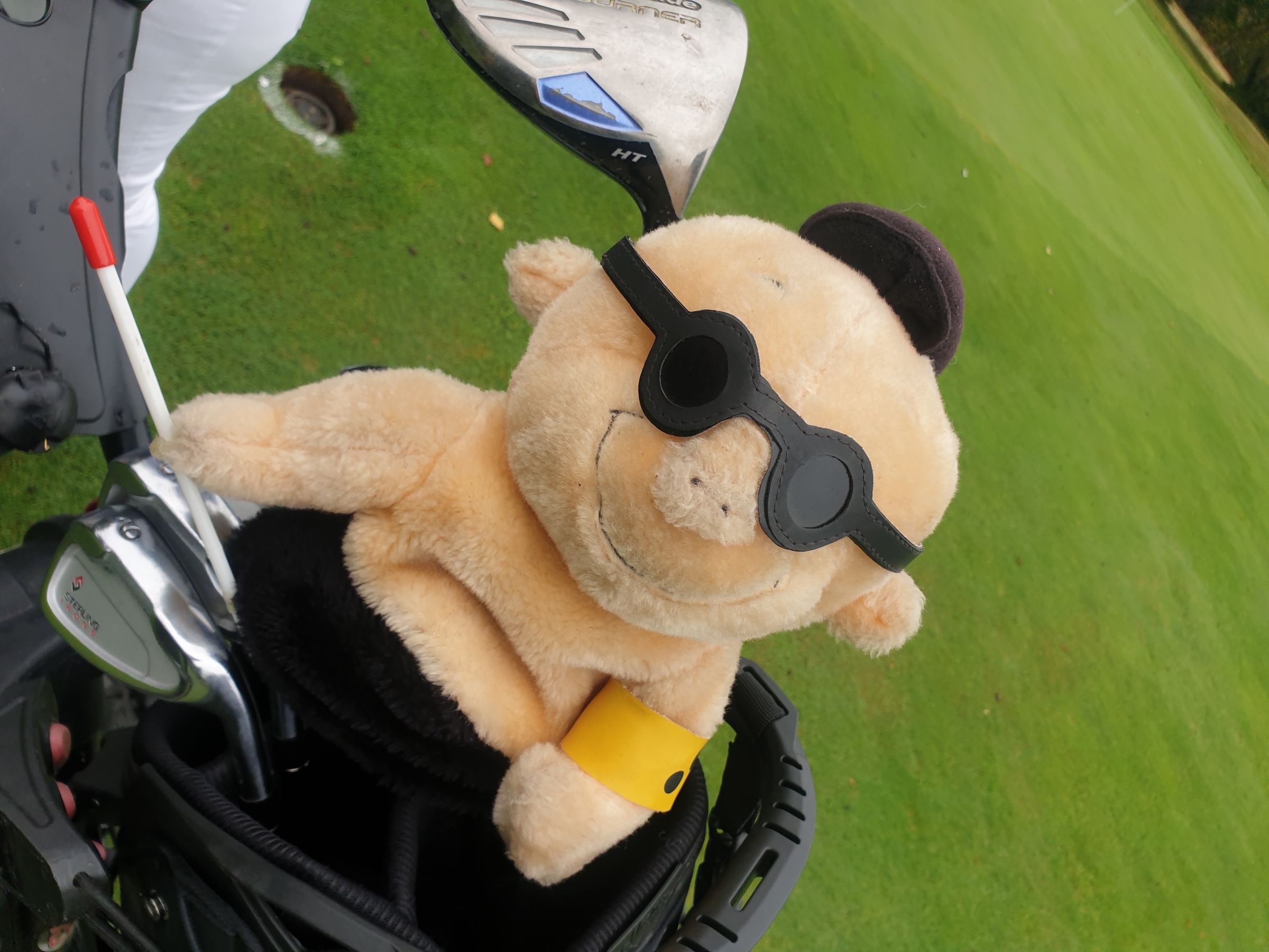 Fröhlicher Begleiter: Schlägerhaube 