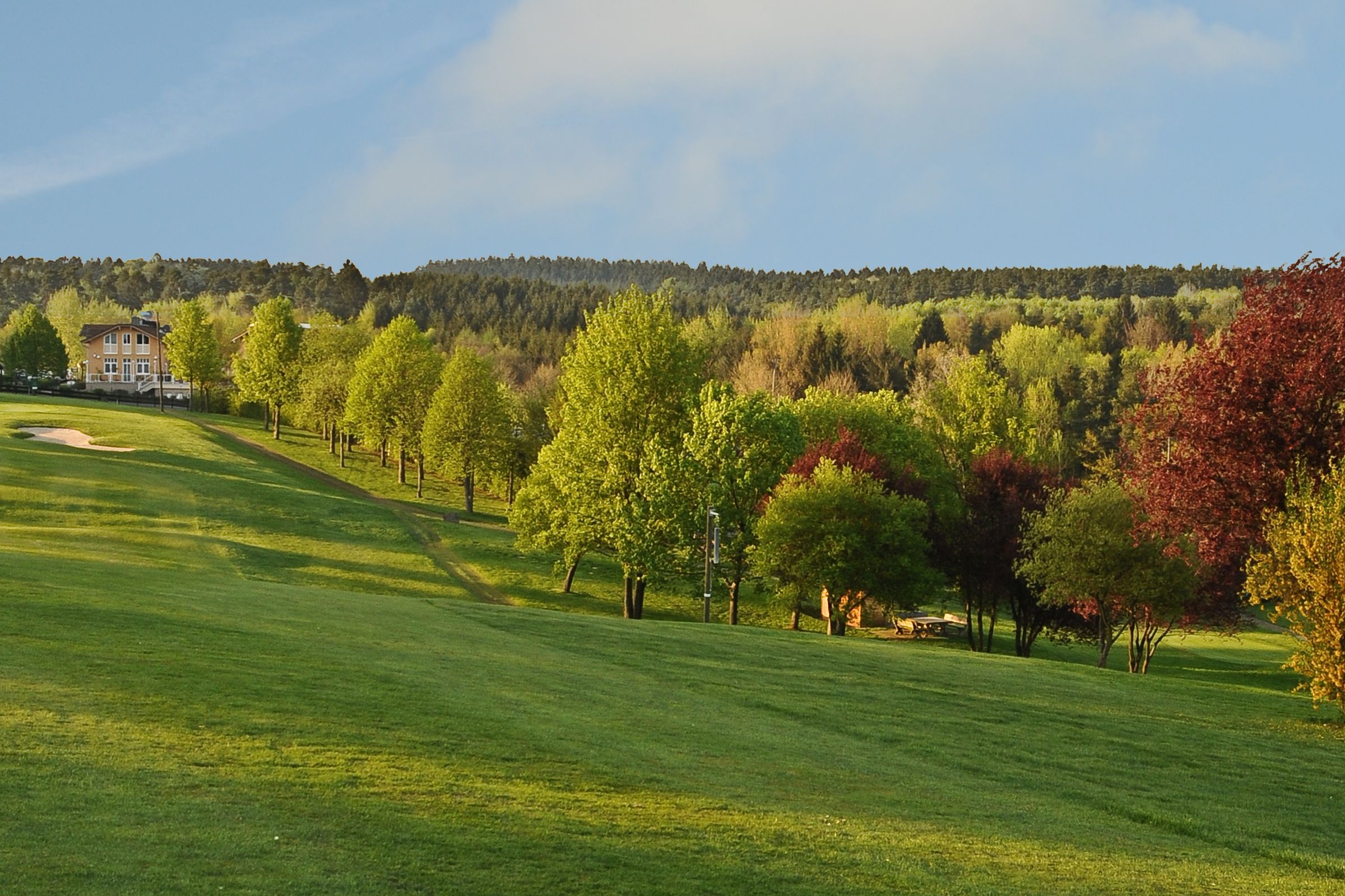 Hier fühlen sich Golfende wohl