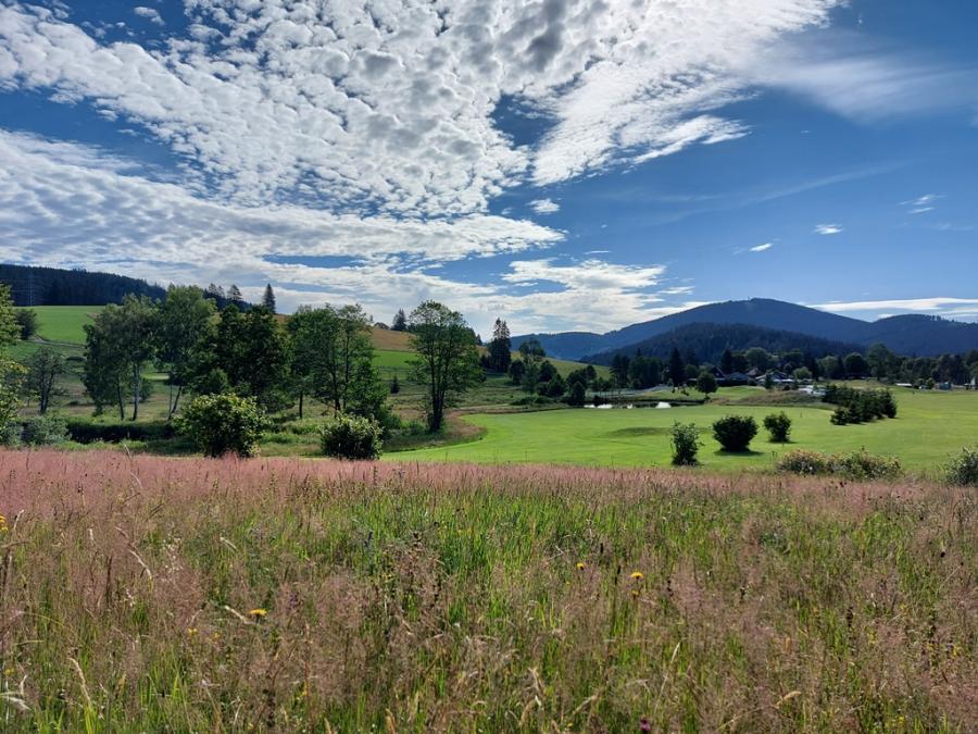 Spannend anders: der GC Hochschwarzwald