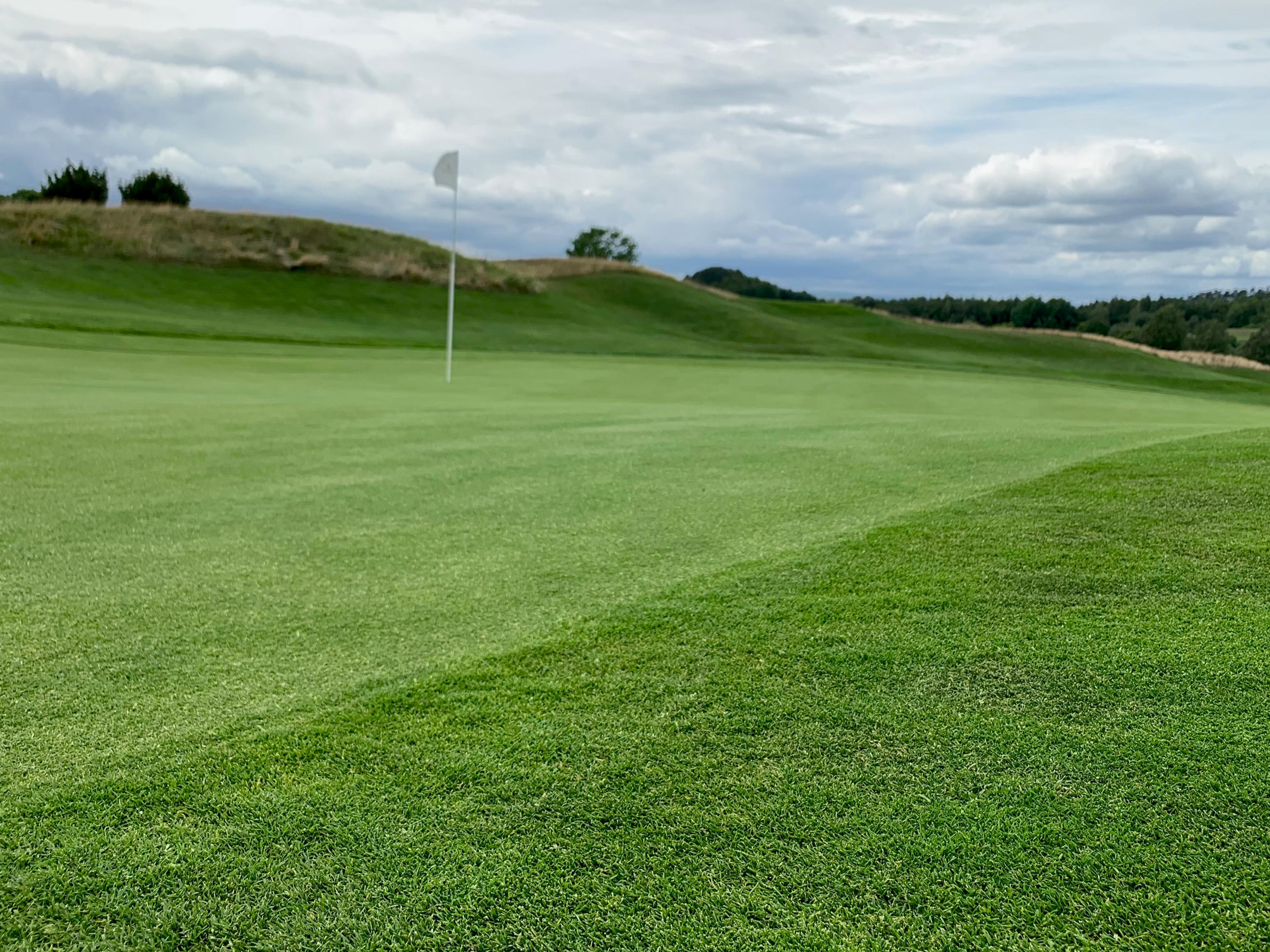 Gepflegte Grüns, Bahn 1