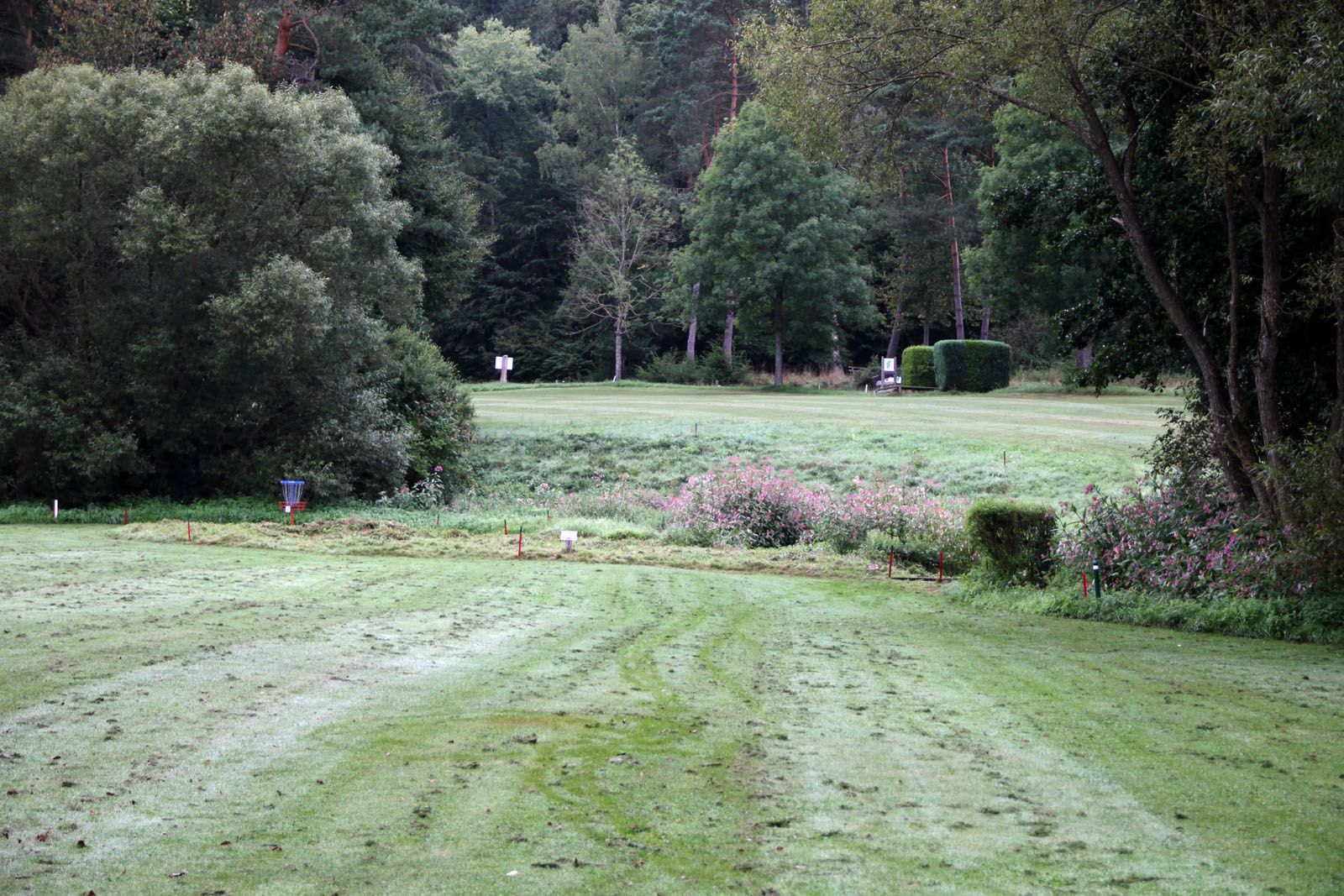 Der Ball muss rüber