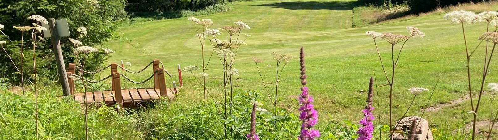 Hier blüht einem was ... nicht nur auf Bahn 2 Hier blüht einem was ... nicht nur auf Bahn 2
