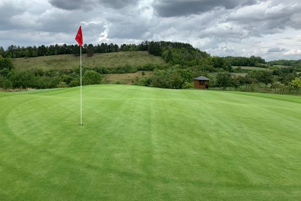 Terrassen-Grün, (Foto: VcG)