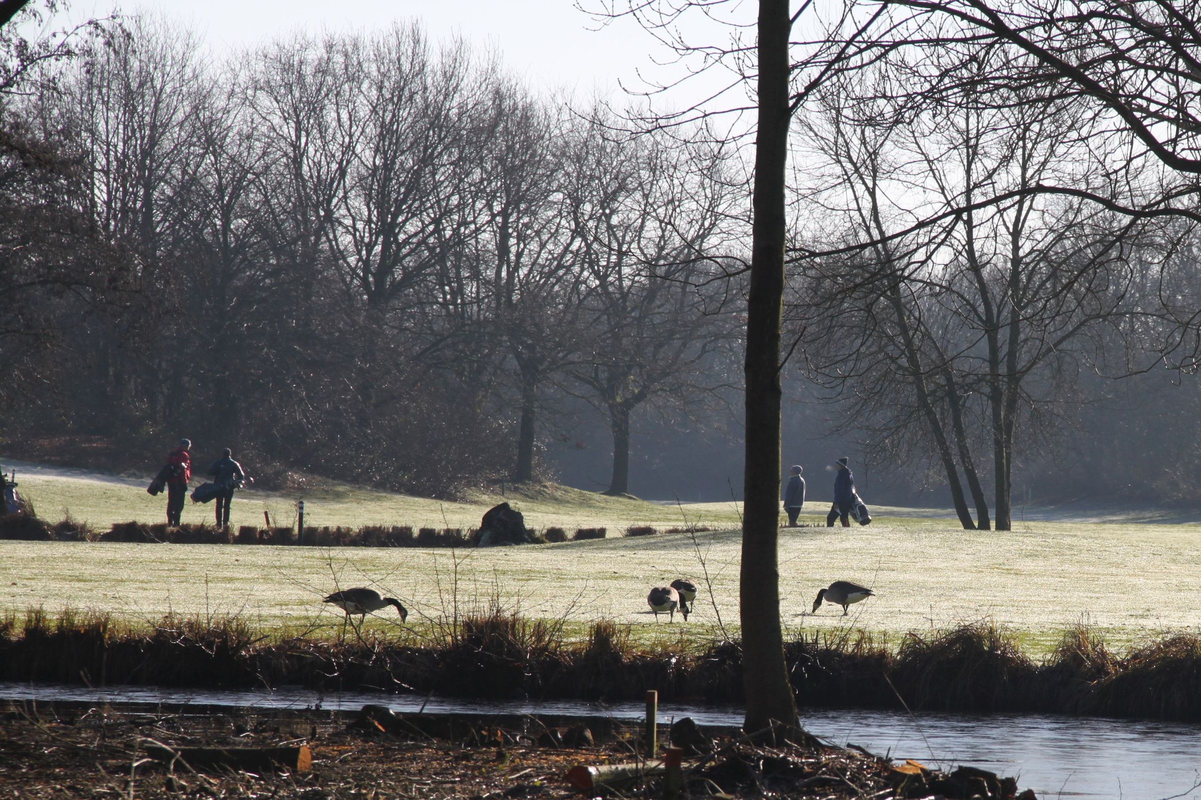 Bei Mensch und Tier beliebt