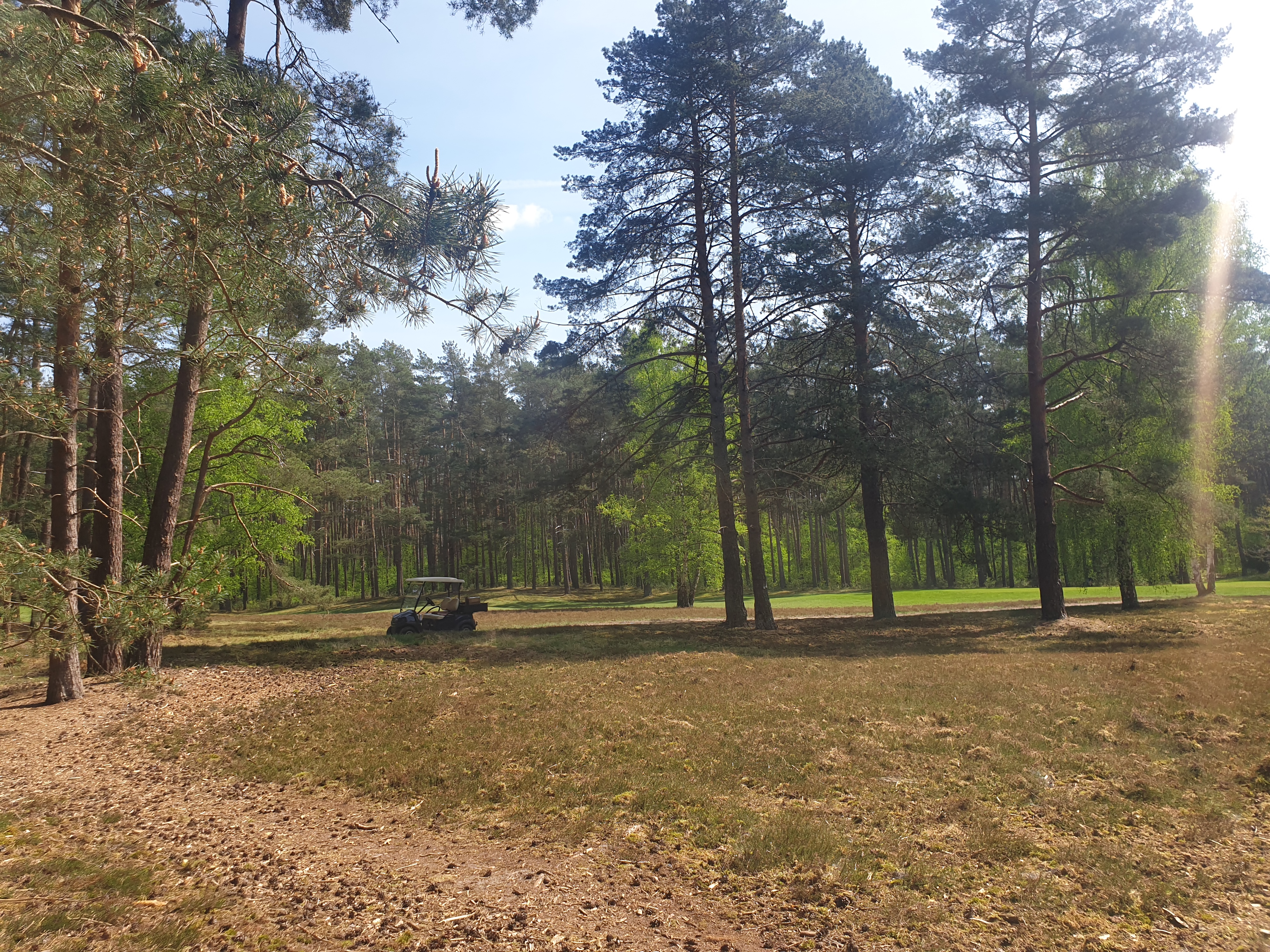 Besonders idyllisch wird es, wenn die Heide blüht