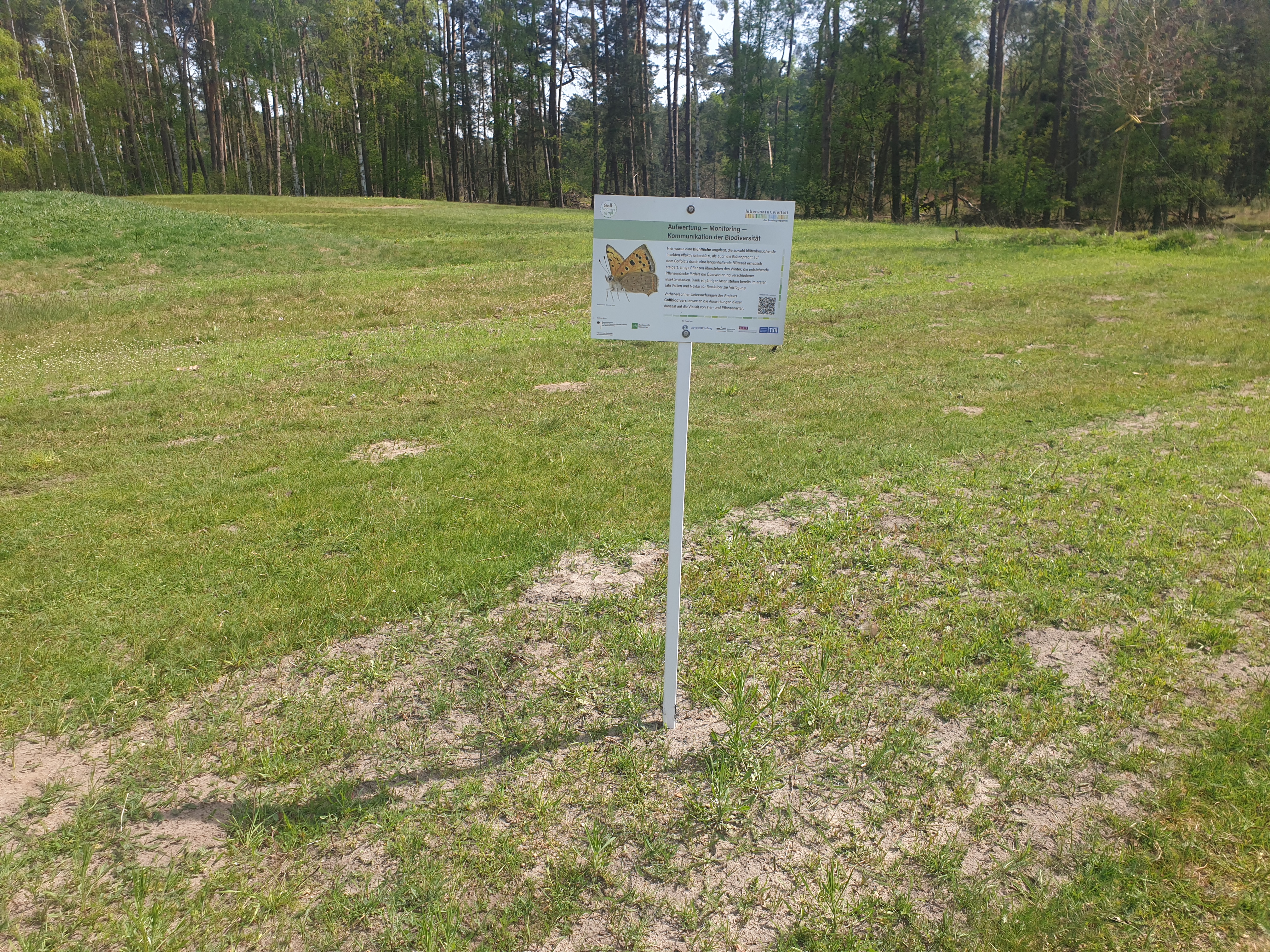 Gern gesehen: Infos zu Flora und Fauna