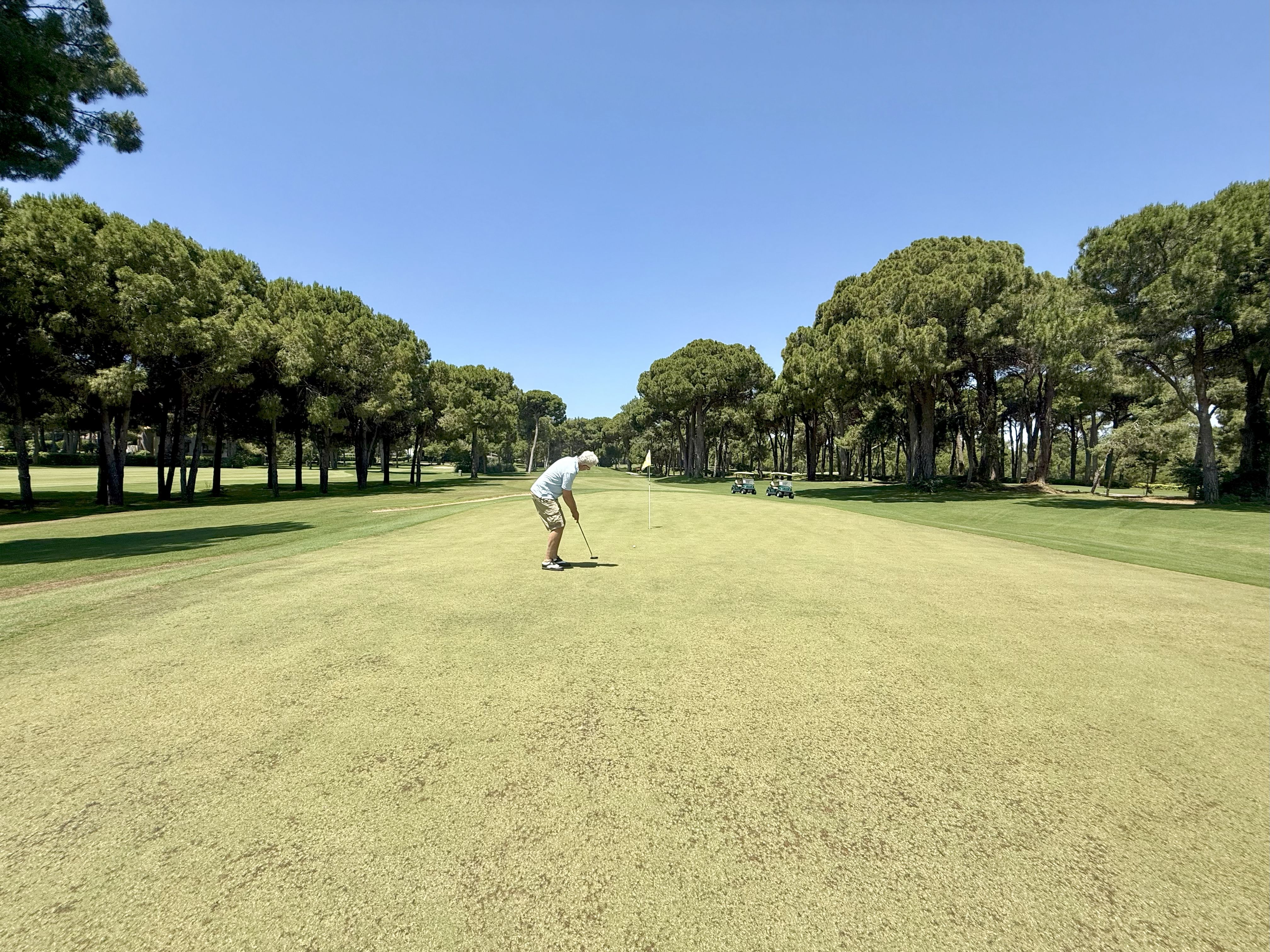 Golf umgeben von Pinien