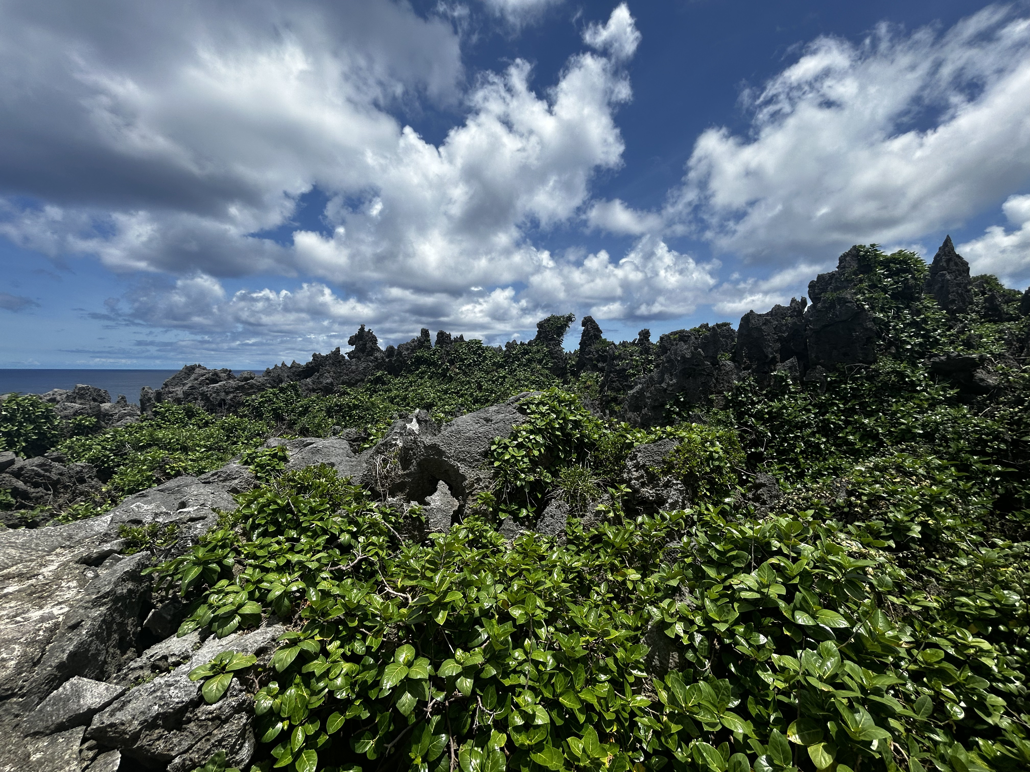 Niue ist das größte gehobene Korallenatoll auf der Welt