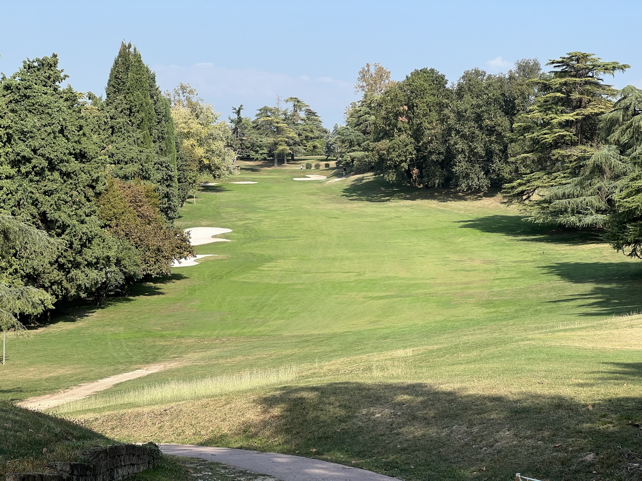 Majestätische Bäume hängen in die Bahnen rein