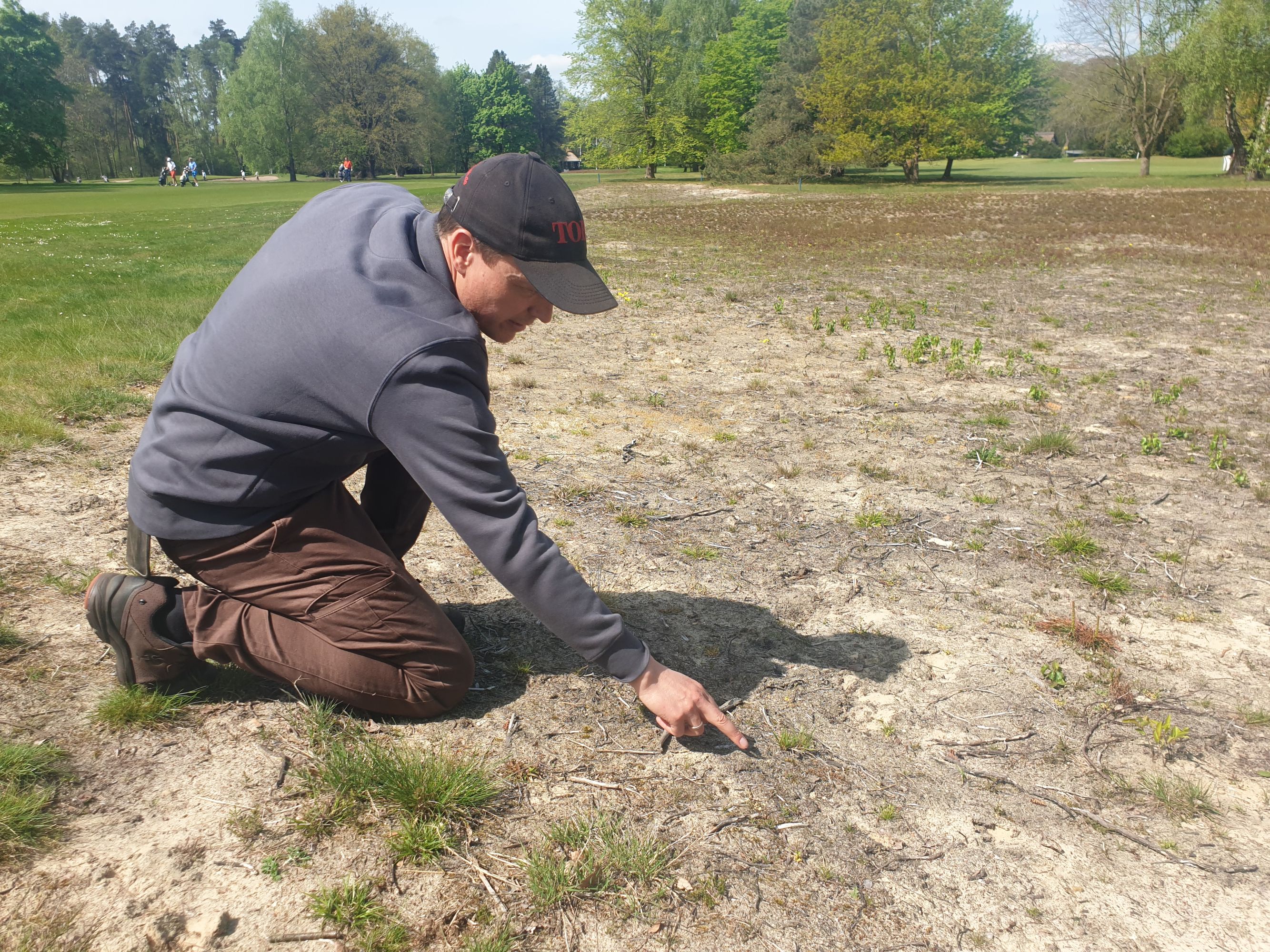 Bei der Heidesaat tut sich was