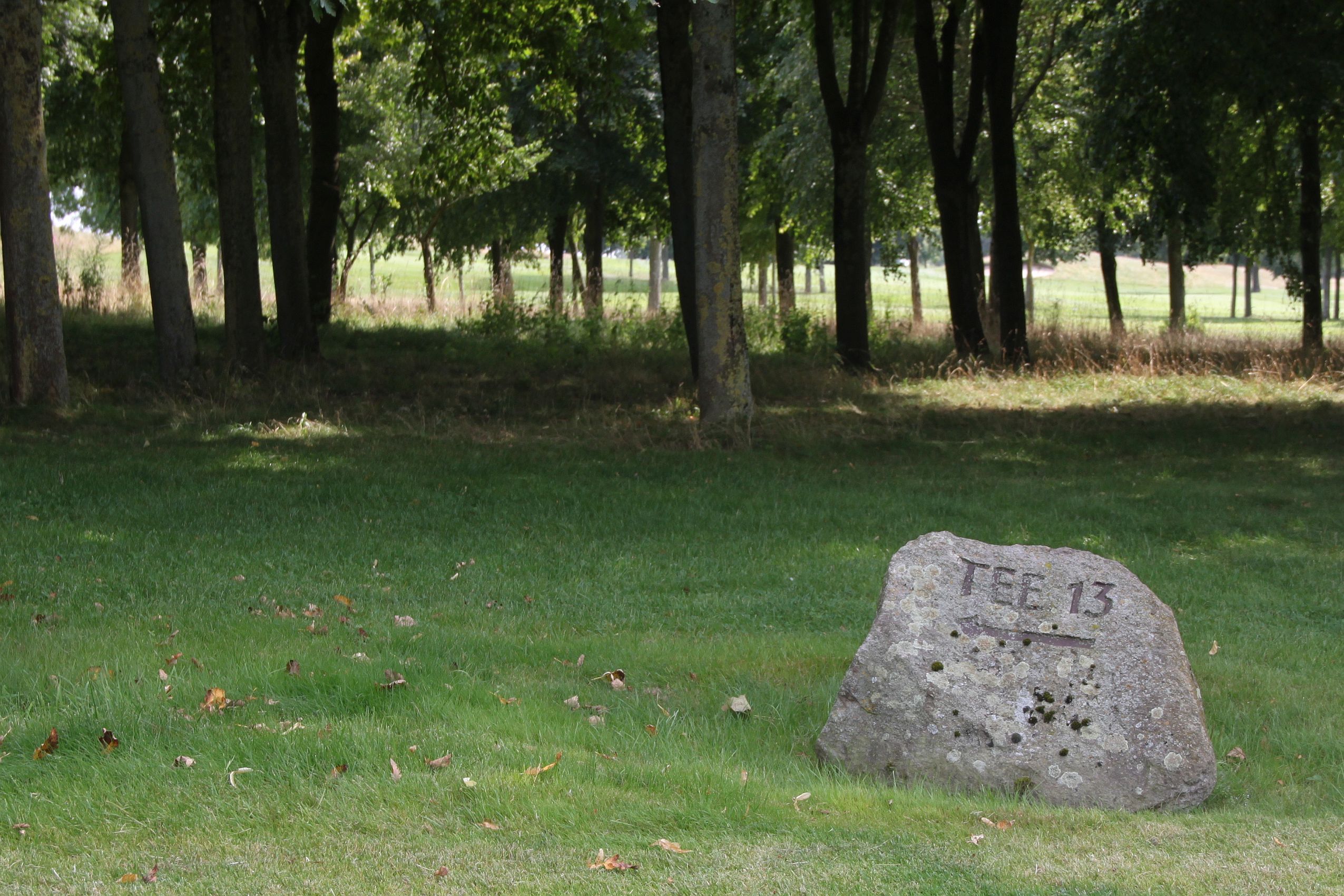 Der Findige findet dank Findling das Tee