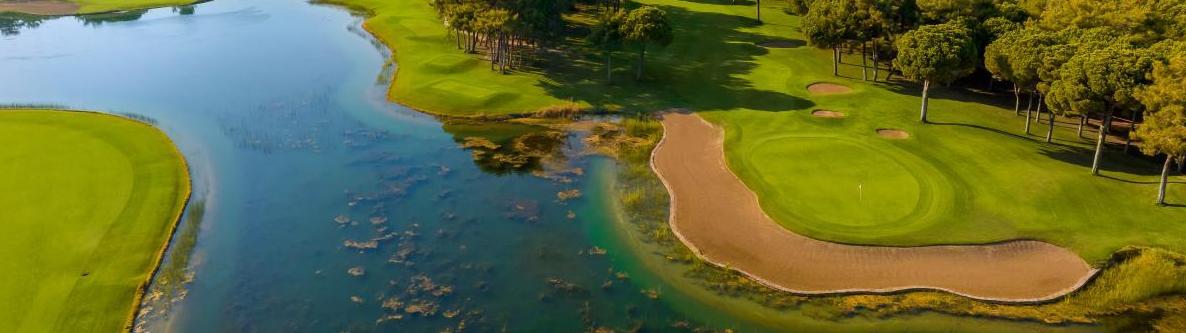 Golfen im Pinienwald