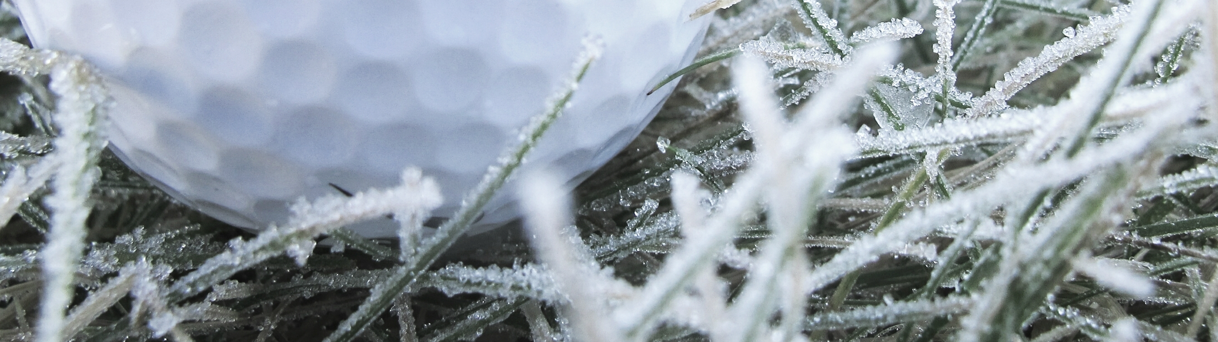 Golf hat immer seinen Reiz Golf hat immer seinen Reiz