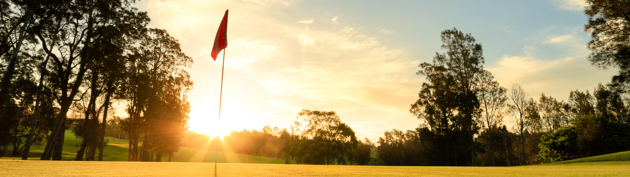 Spaß im Spiel mit jeder Spielstärke Spaß im Spiel mit jeder Spielstärke
